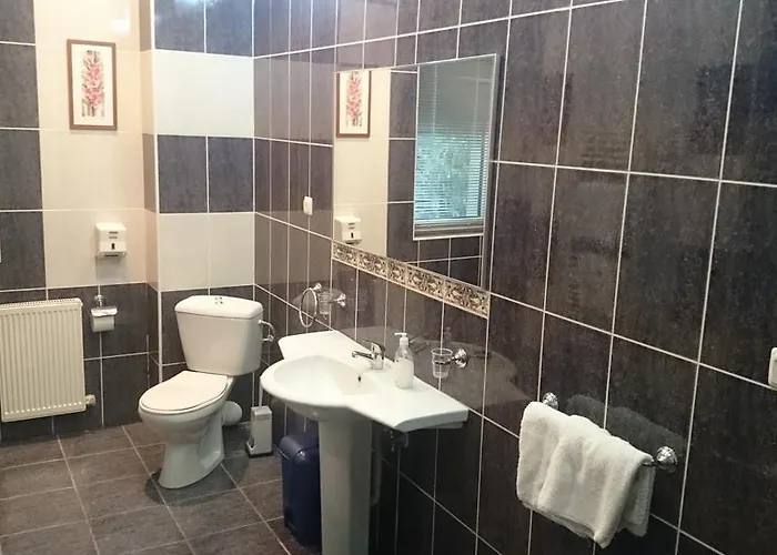 Guest house Daria Poiana 4*